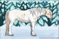 Horse Color:Liver Red Dun Ice Tobiano 