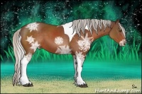 Horse Color:Silver Brown Ice Tobiano 