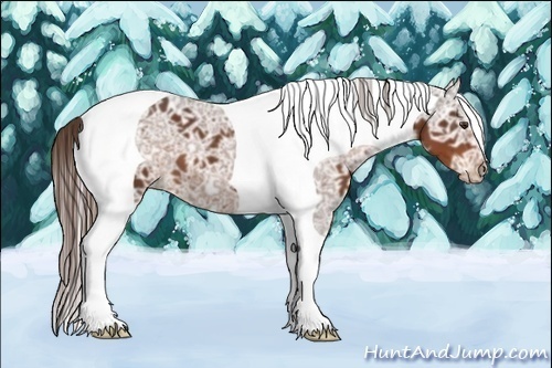 Horse Color:Liver Chestnut Ice Tobiano 