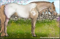 Horse Color:White Spotted Liver Chestnut Pearl Appaloosa