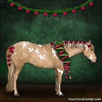 Horse Color:White Spotted Liver Chestnut Pearl Snowflake Varnish 