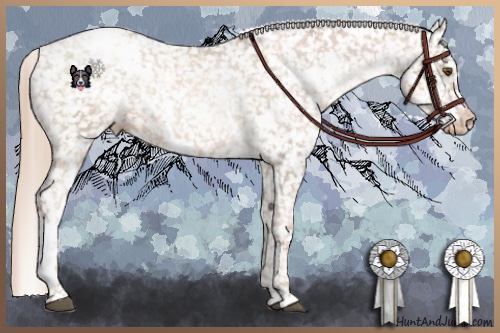 Horse Color:White Spotted Liver Chestnut Pearl Snowcap