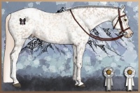 Horse Color:White Spotted Liver Chestnut Pearl Appaloosa 