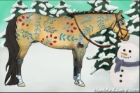 Horse Color:Buckskin Dun