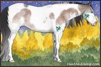 Horse Color:Bay Roan Splash Tobiano