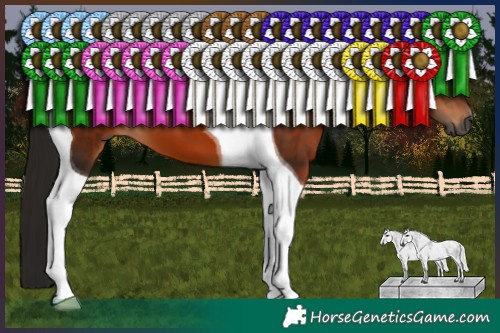 Horse Color:Gray Bay Tobiano 