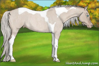Horse Color:Gray Silver Perlino Roan Dun Tobiano Rabicano