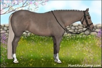 Horse Color:Silver Black 