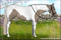 Horse Color:Silver Grullo Tobiano 