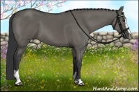 Horse Color:Grullo Sabino 