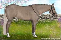 Horse Color:Silver Grullo 