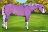Horse Color:Watercolor Silver Brown Dun Splash
