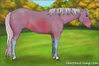 Horse Color:Watercolor Silver Brown 