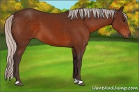 Horse Color:Silver Brown 