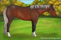 Horse Color:Silver Brown 