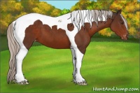 Horse Color:Silver Brown Tobiano Blanket 