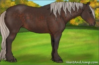 Horse Color:Silver Brown 