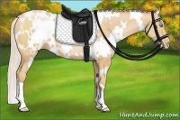 Horse Color:White Spotted Silver Buckskin Pearl 