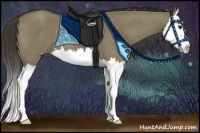 Horse Color:Smoky Grullo Sabino Splash