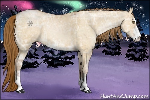 Horse Color:Bay Ice Pearl Dun Sabino 