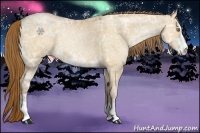 Horse Color:Bay Ice Pearl Dun Sabino