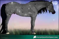 Horse Color:ERROR: UNKNOWN ANOMALY