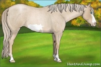 Horse Color:Chocolate Palomino Roan Pearl Frame