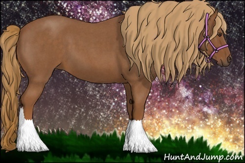 Horse Color:Red Roan 