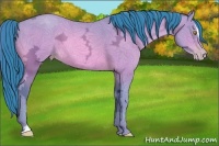 Horse Color:Watercolor Amber Champagne Ice Sabino 