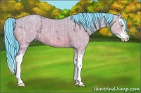 Horse Color:Watercolor Amber Champagne Ice Splash  and Watercolor Bay Ice Dun Splash 