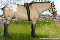 Horse Color:Bay Dun Appaloosa Rabicano 