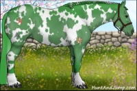 Horse Color:Watercolor White Spotted Black