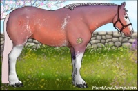 Horse Color:Watercolor White Spotted Silver Bay 