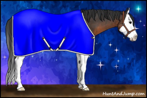 Horse Color:Brown Sabino Splash 