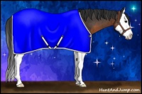 Horse Color:Brown Sabino Splash 