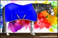 Horse Color:White Spotted Black 