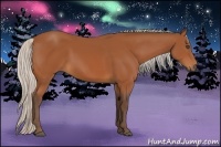 Horse Color:Silver Bay 