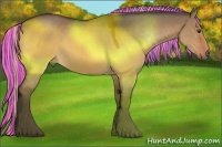 Horse Color:Painted Silver Bay Dun