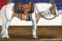 Horse Color:Silver Buckskin Splash Tobiano