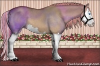 Horse Color:Painted Red Dun Splash 