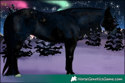 Horse Color:ERROR: UNKNOWN ANOMALY