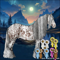 Horse Color:Brown Snowflake Varnish and Silver Bay Blanket