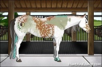 Horse Color:Watercolor White Spotted Bay Splash  and White Spotted Bay Splash 
