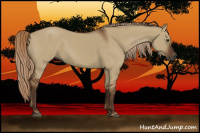 Horse Color:Gray Red Dun 