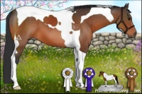 Horse Color:Bay Tobiano 