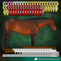 Horse Color:Gray Bay Rabicano