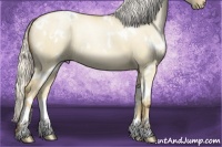 Horse Color:White Spotted Silver Smoky Grullo Pearl 