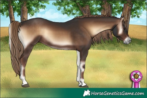 Horse Color:Liver Red Onyx Rabicano 