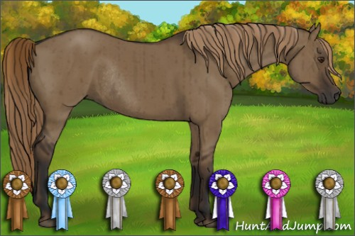 Horse Color:Liver Red Dun Rabicano Brindle