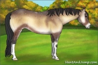 Horse Color:Brown Onyx